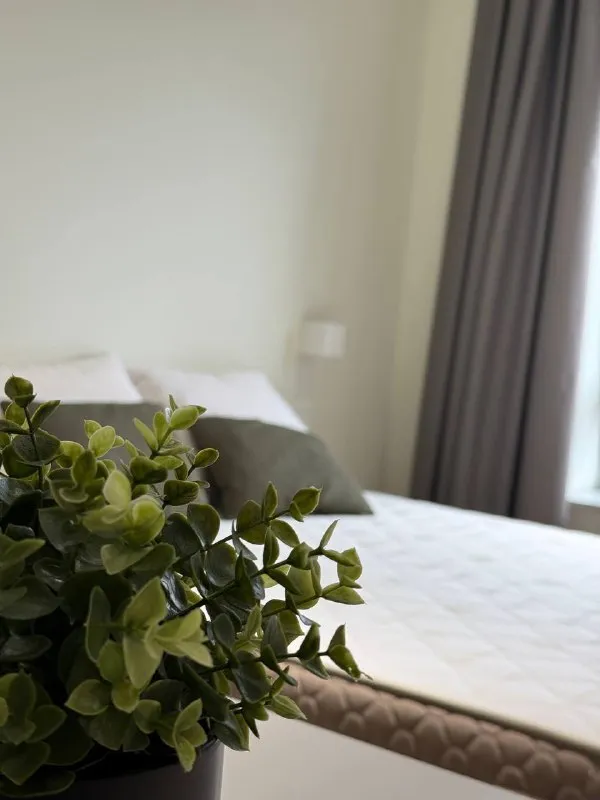 3-Комн квартира, 56.4 м²
М курьяново
• 5 Мин пешком
• 14 Этаж из 32
• Ул донецкая 30 к2, на карте
110 000 ₽/Мес, без комиссии
Большой гайд по аренде
Холодильник • стиральная машина • интернет • мебель • посудомойка • кондиционер • с животными • телевизор • лифт • с детьми • мусоропровод • консьерж
Район марьино
Чистота 3.85 транспорт 4.33
Парки и скверы 4.67
Собственник. Сдаётся стильная евро-трёшка 56 м² с дизайнерским ремонтом. Кухня-гостиная + 2 комнаты. Вся техника: холодильник, посудомойка, стиралка, духовой шкаф, кондиционер. Раздельный санузел, ванная с мрамором. Окна во двор, рядом парк с набережной, магазины у дома. Депозит 100%. Свет и вода отдельно. Клинер 1 раз в подарок. Заселение с 01.02.2026 © предоплату до просмотра просят только мошенники!
Architect m, написать
Уровень доверия низкий ⚠️
Выложить квартиру бесплатно - фотография - 2