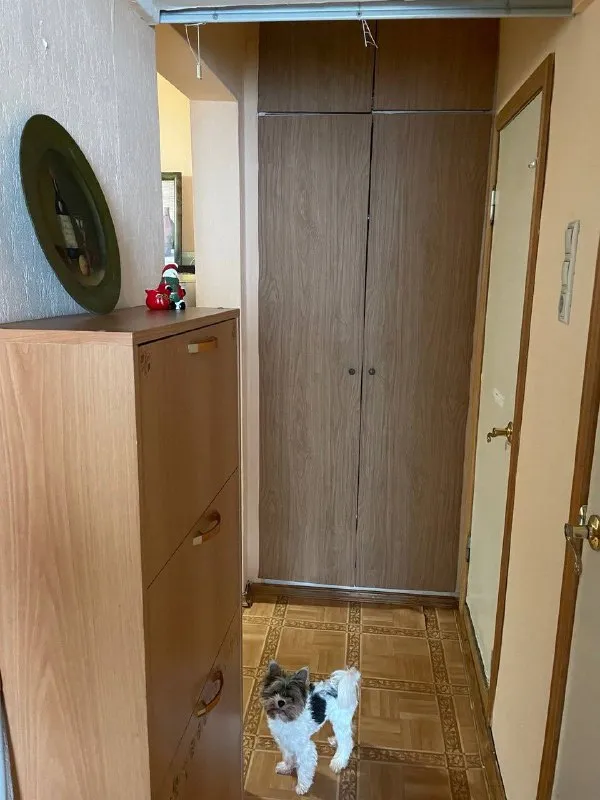 Комната🏙️
М. Улица академика янгеля9️⃣
Сдаётся уютная комната для одной девушки в 2-комнатной квартире.
📍 Метро академика янгеля – 6 минут пешком
✨ О квартире и комнате:
▪️ Просторная (20 м²), светлая комната с балконом
▪️ Много мест для хранения вещей
▪️ Чистая, уютная квартира, в которой приятно жить
👩 О себе :
▪️ Мне 30 лет, я спокойная, адекватная, работающая 5/2
▪️ Живу здесь уже 8.. . Background-image:url('//telegram. Org/img/emoji/40/f09f8fa1.png')">🏡 плюсы проживания:
▪️ Хозяева не беспокоят, живут в другом городе (приезжают раз в год в лучшем случае )
▪️ Тихие, комфортные условия для жизни, все рядом и в пешей доступности
💳Стоимость:
▪️ 30.000₽/Месяц (включая ку, интернет, домофон и прочее)
▪️ Депозит 20.000₽ (возвращается при выезде)
▪️ Оплата до 25 числа каждого месяца
С 15 по 20.01 буду в отъезде и просмотры возможны начиная с 21.01
Если ты ищешь уютный, комфортный дом, а не просто место для сна – пиши, будем знакомиться! 😊
💌Telegram: @ya_styusha - фотография - 9