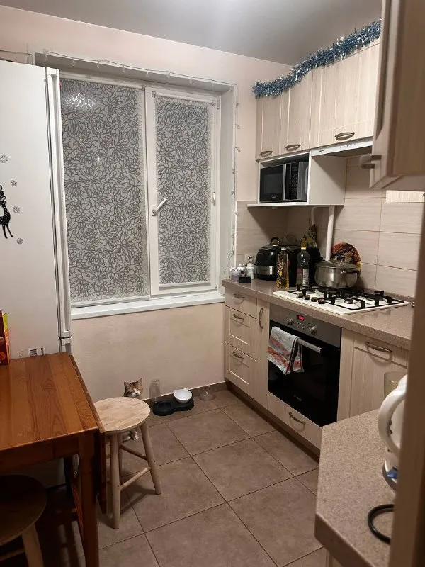 Комната, 18.7 м²
М коломенская

• 10 Мин пешком
• 2-Комнатная квартира
• 3 Этаж из 9
• Наб нагатинская 18, на карте

35 000 ₽/Мес, без комиссии
Большой гайд по аренде

Стиральная машина • интернет • мебель • холодильник • посудомойка • мусоропровод • лифт • с животными • кондиционер • с детьми • телевизор • консьерж

Район нагатино-садовники
Чистота 4.66 транспорт 4.55
Парки и скверы 4.90

Собственник. Предлагаю уютную комнату в светлой двушке, для девушки на длительный срок. Если нужно-в комнату можно поставить компьютерный стол. Окружение: торговый центр в шаговой доступности; фитнесклуб с бассейном рядом; набережная прекрасное место для прогулок. Соседка: молодая девушка, спокойная, аккуратная. Есть кошка (дружелюбная, не мешает). © предоплату до просмотра просят только мошенники!

Имя k, написать
Уровень доверия низкий ⚠️
Выложить квартиру бесплатно - фотография - 3