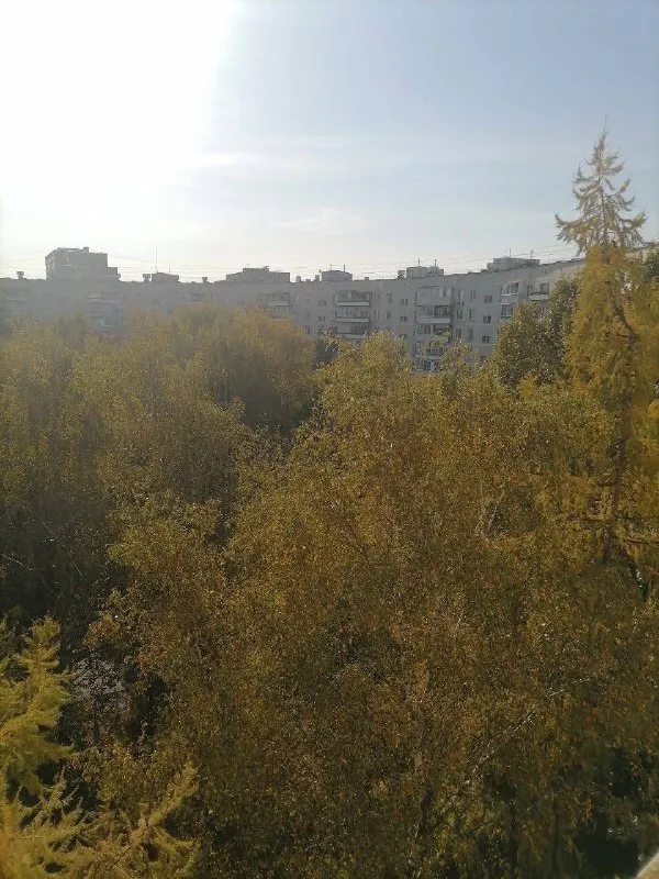 Сдаётся на длительный срок 1- комнатная квартира/студия.30 кв. М. По ул. Нежинская дом 13, в легендарном круглом доме. Лучше этой квартиры в этом районе по такой приятной цене вы не найдете. Квартира для тех кто любит чистоту, комфорт и уют. В квартире имеется вся мебель и техника для вашего комфортного проживания. Развитая инфраструктура района. Рядом с домом расположено все необходимое: продуктовые детский сад аптеки кафе и рестораны спортивный зал, парк анны герман, парк сетунь, проликлиника, рядом ст. Матвеевская, до метро славянский бульвар 5 минут на транспорте, 10 минут пешком. Спокойные соседи. Оперативный показ заселение день в день. 9261631262. 70000+жку, залог 70000
➡️Предоплату/бронь/заморозку денег/автооплату до просмотра квартиры не вносить! Если по этому объявлению спрашивают какую либо оплату сообщите по контактам в описании канала. - фотография - 9