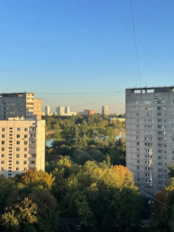 1-Комн квартира, 34.8 м²
М коптево
• 15 Мин пешком
• 14 Этаж из 16
• Б-р кронштадтский 26, на карте
65 000 ₽/Мес, без комиссии
Большой гайд по аренде
Холодильник • стиральная машина • интернет • мебель • телевизор • лифт • мусоропровод • посудомойка • кондиционер • с животными • с детьми • консьерж
Головинский район
Чистота 3.83 транспорт 4.78
Парки и скверы 4.83
Собственник. Светлая квартира с лоджией и видом на головинские пруды. Вся техника, кровать, диван, шкаф-купе. Во дворе бесплатная парковка. Рядом магазины, пвз яндекс маркет и ozon. Транспортная доступность (коптево, водный стадион). Соседи тихие. Сдам на длительный срок (от 1 года). Коммунальные услуги и wifi оплачиваются отдельно. © предоплату до просмотра просят только мошенники!
Sophia n, написать
Уровень доверия низкий ⚠️
Выложить квартиру бесплатно - фотография - 1
