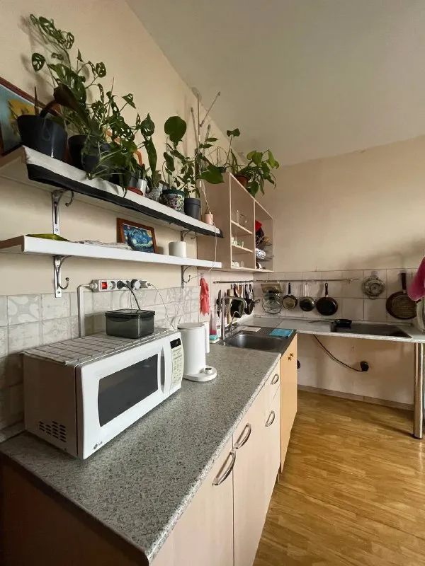 Место в комнате🏙️
М. Академическая6️⃣

Свободны женские места в 3х местной комнате.

📍Адрес: ул. Гримау, 11к2

М. Академическая (4 минуты до метро).

💳Аренда: 16.000₽. Без комиссии. Есть залог. При заселении в день обращения приятный бонус!

🔆 В нашем пространстве мы ведём разумный образ жизни! Поэтому здесь:

- Не курят и не пьют
- Уважают личное пространство и друг друга.

Большая площадь, высокие потолки.

🔆 Комфортные условия
🛸 Бытовая техника
🥑 Просторная кухня
🛀 2 Санузла
📈 Развитая инфраструктура

Творчество, спорт, образование, питание, духовное развитие, хобби, бизнес - те сферы деятельностной активности, в которых мы все вместе движемся в одном направлении!

Welcome!!!

💌Записаться на просмотр: @tenor108 - фотография - 1