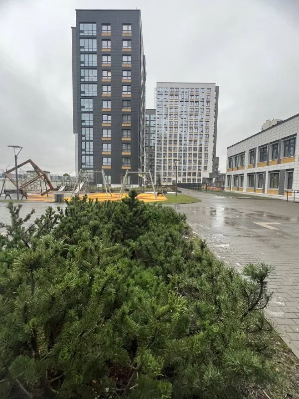 Сдам в долгосрочную аренду студию 22метра
Адрес кубинская 82к3 жк cube
До метро московская 15-20 минут ходу пешком, на машине буквально в пределах одного перекрестка выезд на кад и зсд. Для тех, кто на авто перед домом прям под окнами большая парковка на которой не нужно искать места или кого-то подпирать, а утром вставать и отгонять автомобиль. А также две парковки на территории жк + имеется подземный паркинг.

Только что законченный ремонт, вы будите первые. Без агентских
Из удобств:
-Теплые полы в ванной
-Стиральная машина
- Кондиционер, что бы летом не умирать от жары
- Фильтр воды
- Электроплита, духовой шкаф, мультиварка, холодильник.
- Wi- fi
В жилом комплексе магазины и маркетплейсы.

Мы ищем порядочного чистоплотного арендатора, предпочтительно девушку/женщину, гражданство рф, без животных. Курить нельзя. На длительный срок( договор).

Аренда 35 т. Р. + к/у
Залог 30, можем разбить на несколько месяцев.
Открыт к диалогу
Контакт в базе собственников @rentinspbbot - фотография - 8