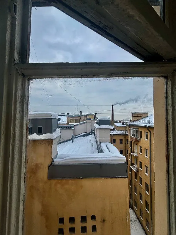 Всем доброго вечера!

Сдаётся комната, около 8 м, в двухкомнатной квартире в центре петроградки

Очень близко станция метро чкаловская, петроградская и горьковская тоже в шаговой доступности.

Ищу жильца на долгий срок, стоимость за месяц 18к + ку

В квартире проживаю я и моя собака, находит только в моей комнате, общие территории не посещает

На фотографиях комнаты есть стол и кровать, эта мебель моей соседки, она её забирает.

В квартире есть стол как на самом первом фото двуспальная кровать (фотографии её нет, она в кладовке)

В комнате остается – комод, шкаф, кресло.

В квартире есть – микроволновка, плита газовая, газовая колонка которая подогревает воду, стиральная машинка

Заехать можно после 27-го числа

Пишите в личные сообщения!

Контакты: 89692073800 - пишите в телеграм

Уютное гнездышко – поиск жилья, жильцов и соседей без посредников - фотография - 9