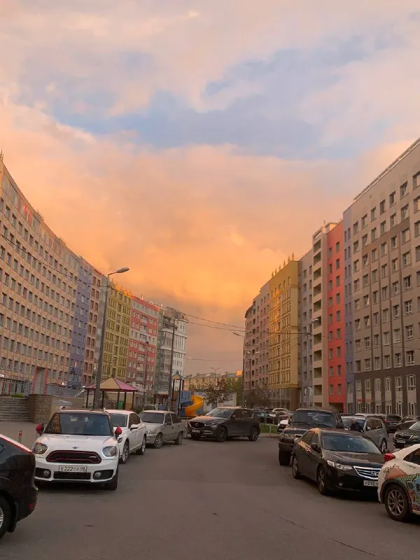 Евродвушка🏙️
М. Василеостровская🚇

Сдам без комисии просторную (50 м²) евродвушку, с мебелью и техникой.

Новый дом с охраняемой территорией (закрытый двор, видеонаблюдение, консьерж).
Окна на тихую сторону.

В квартире будет уютно как одному человеку, так и семье с ребенком. Большая лоджия.

+ Кондиционер инверторный (мощный и тихий)
+ Микроволновка
+ Посудомоечная машина!!!
+ Кофемашина с капучинатором ☕️
+ Диван со спальным местом 160*200
+ Кровать с подъемным механизмом 160*200
+ Ортопедический матрас!

Очень удачное территориальное расположение.

В пешей доступности 3 станции метро, магазины, торговые центры, бары и рестораны. Во дворе комплекса детский сад, поликлиника. Рядом заезд на зсд.

💳Цена: 75.000₽/месяц + ку.

💌Контакты: +7-995-590-10-03 - фотография - 8