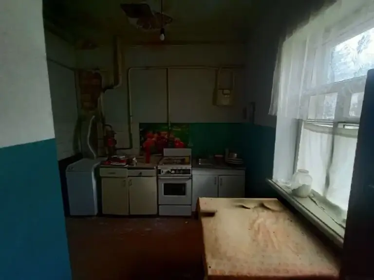 Продам дом в артемовском р-не, 6-й железнодорожный переулок. 66,5 кв. М.
Дом в пешей доступности от парка горького и военного госпиталя.
Земля -11,6 соток. Приватизирована.
На участке капитальный гараж и хоз постройки.
Дом из 4-ти комнат, требует косметического ремонта. Все коммуникации в доме. Окна деревянные. Котел газовый, бойлер. Комнаты смежно-изолированные, высокие потолки.

Документы рф и готовы к сделке.
Цена - 4 500 000 руб.
Тел. +7 959 115 28 65 - фотография - 6