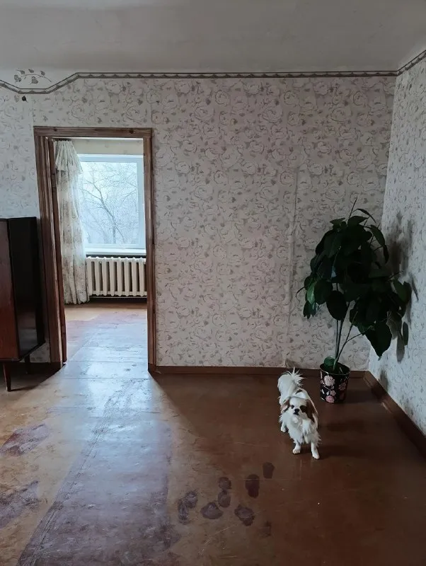 Продается двухкомнатная квартира с хорошей геолокацией в городе стаханове. 📍
📋 Основные характеристики:
💰 Цена: 1,1 млн ₽
🏢 Этаж: 2 из 3
📐 Общая площадь: 45 кв. М
🔥 Отопление и гвс: индивидуальное газовое (установлены котел и колонка)
🪟 Окна и балкон: металлопластиковые окна и балконный блок
🚽 Санузел: совмещенный, заменены водяные и канализационные трубы
🛠 Состояние: жилое, требуется косметический ремонт (переклейка обоев) - фотография - 8