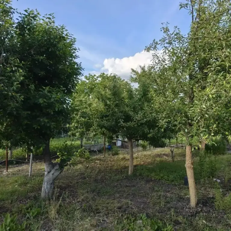 Продается
Участок в черте города🌇🏡
Снт чернобылец
С квартала волкова можно дойти пешко✅.
Есть хороший фундамент под дом. Можно построить и жить постоянно. Идеально для этих целей, многие так и делают. Хорошие соседи.
Участок 10 соток, есть вода поливная, городская, есть свет, на участке есть вагончик жилой с подвалом, много фруктовых деревьев, виноград.
Собственник, документы рф.
✔️Риэлтор не нужен
Стоимость 1 500 000р
Макс +7 (952) 098-80-08 - фотография - 3