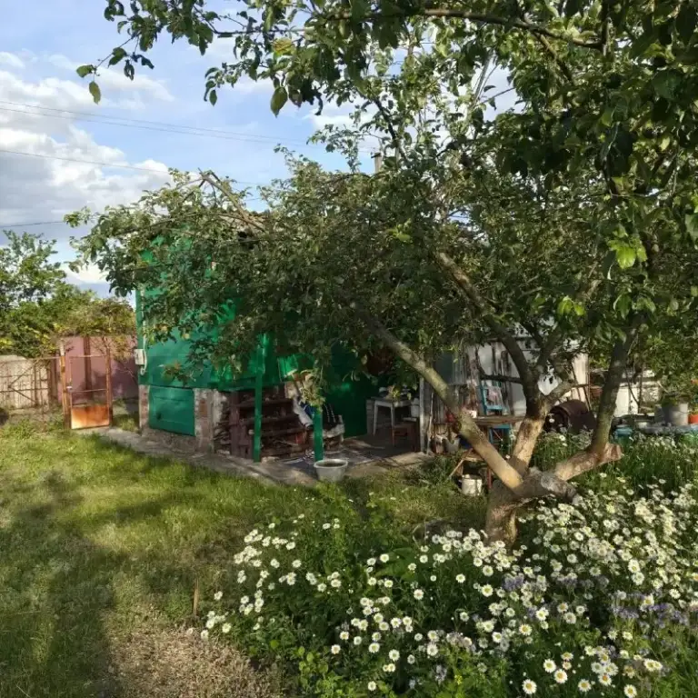 Продается
Участок в черте города🌇🏡
Снт чернобылец
С квартала волкова можно дойти пешко✅.
Есть хороший фундамент под дом. Можно построить и жить постоянно. Идеально для этих целей, многие так и делают. Хорошие соседи.
Участок 10 соток, есть вода поливная, городская, есть свет, на участке есть вагончик жилой с подвалом, много фруктовых деревьев, виноград.
Собственник, документы рф.
✔️Риэлтор не нужен
Стоимость 1 500 000р
Макс +7 (952) 098-80-08 - фотография - 5